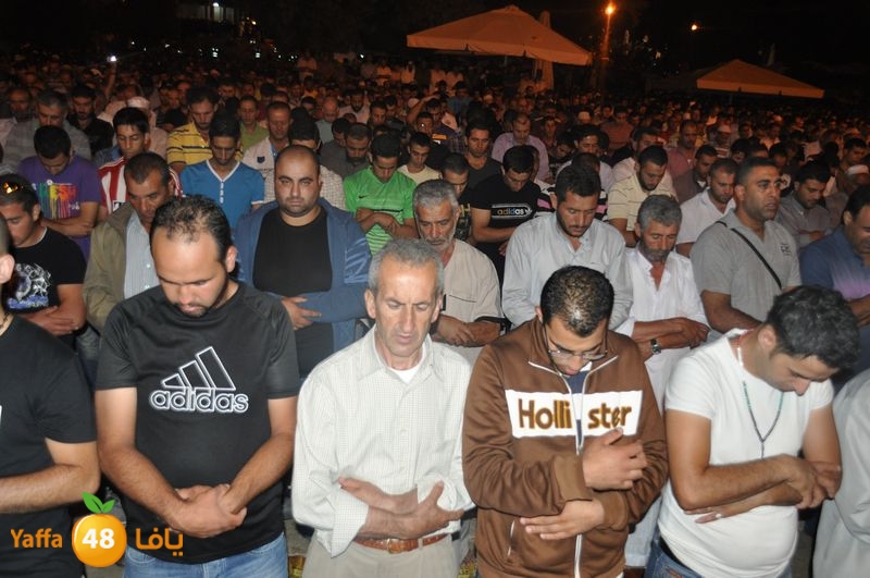 lud trawer7 aqsa 805 (67).JPG